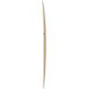 PLANCHE DE SURF TORQ MOD FUN V+