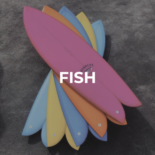 Planches de surf fish