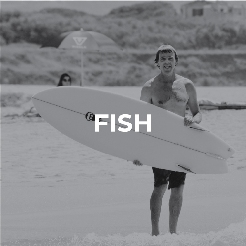 Planches de surf fish