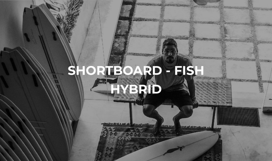 Shortboard fish hybrid