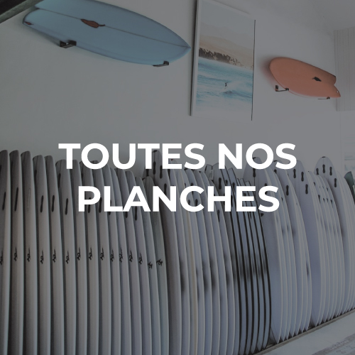 Planches de surf fish