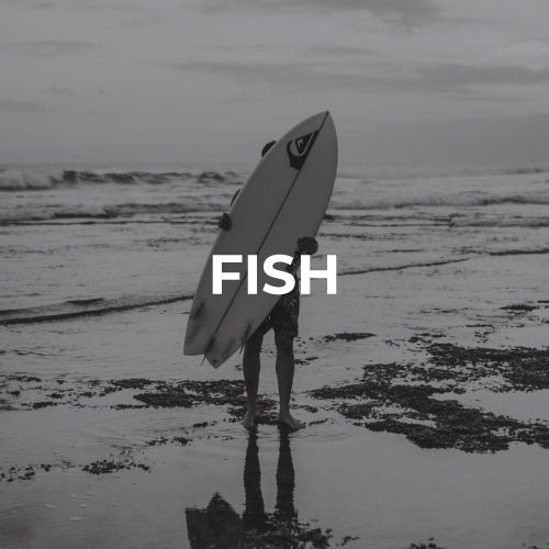 Planches de surf fish