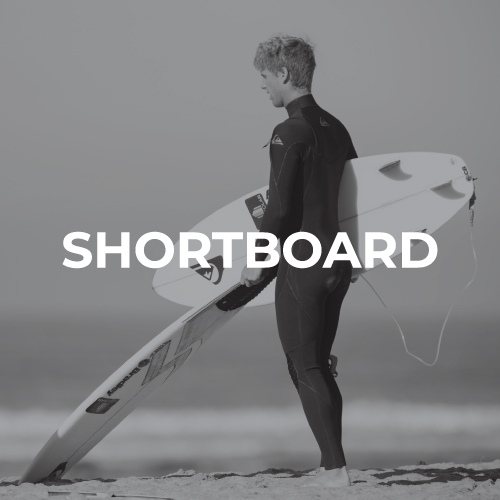 Planches de surf fish