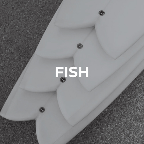 Planches de surf fish